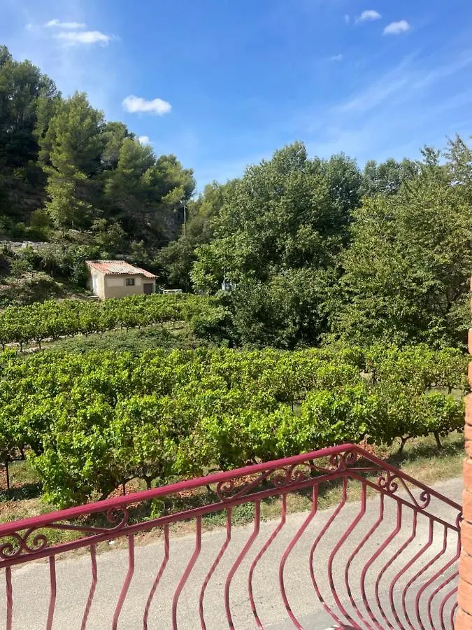Appartement Au Calme Au Milieu Du Vignoble De Gigondas France
